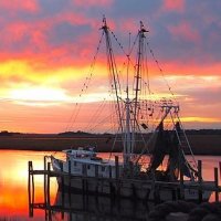 Crosby's Seafood - Folly Beach